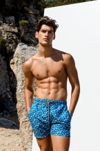 Πετρόλ-Σκούρο